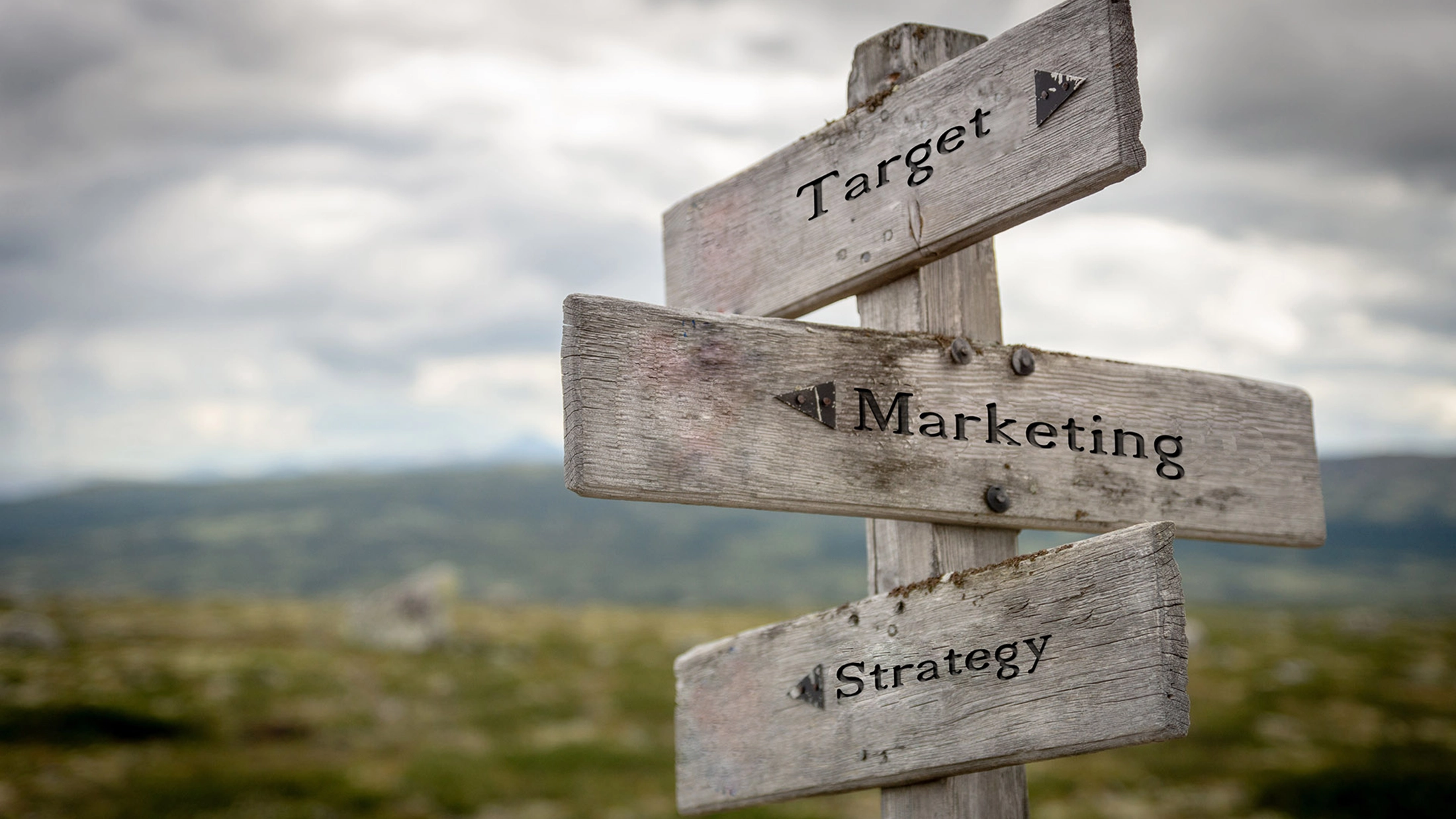 Are Market Research and Marketing Research the Same Thing?